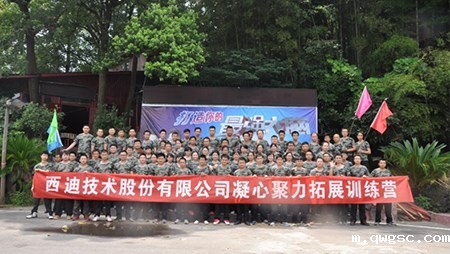 qwgsc员工凝心聚力拓展训练 挑战自我新高度