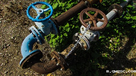 qwgsc干货分享｜常用的阀内件材质有哪些