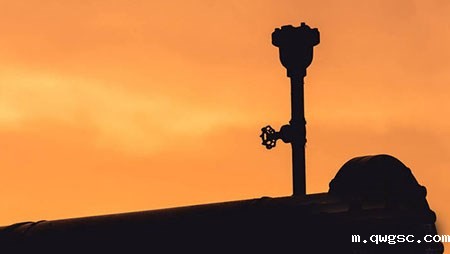 泵出口单流阀的实际应用介绍