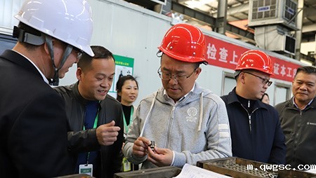 芦淞区区委书记带队到qwgsc调研指导